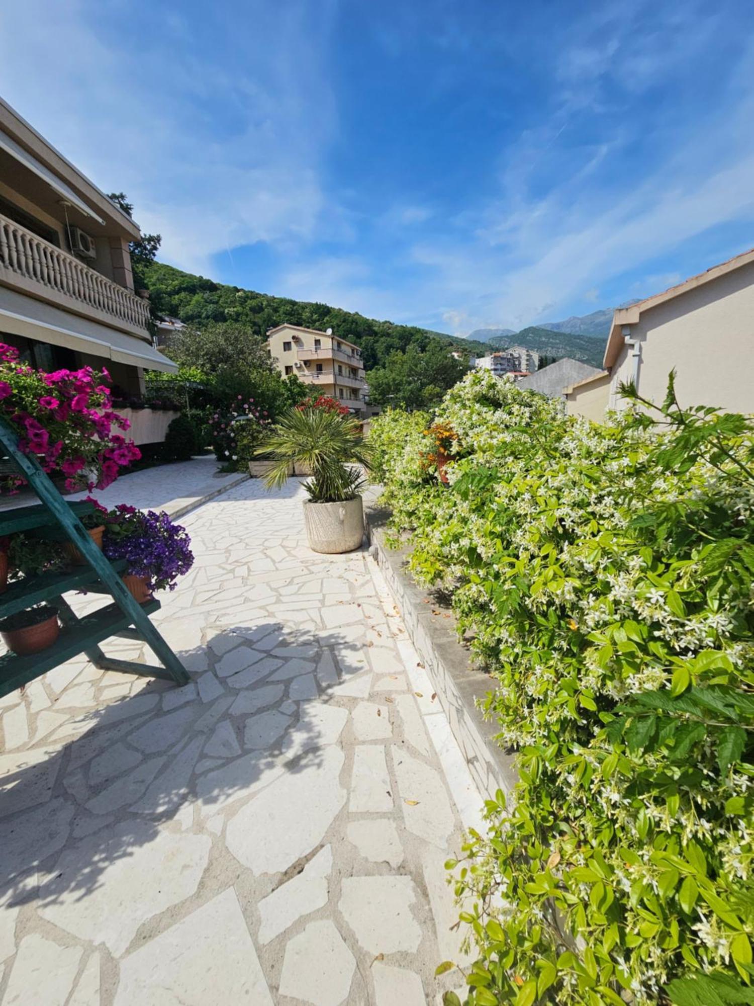 Srdanovic Daire Budva